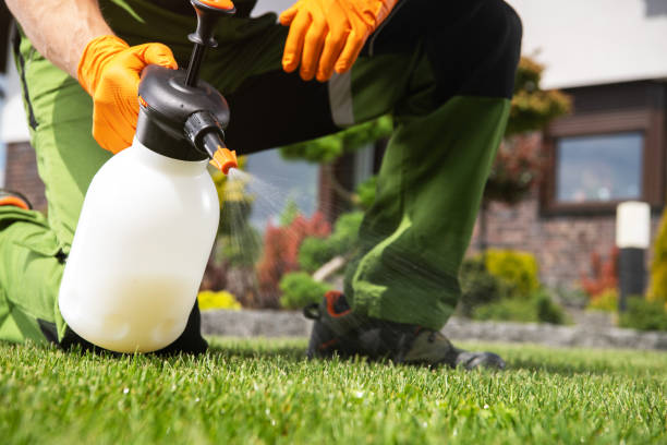 Pest Prevention Services in Clark, SD