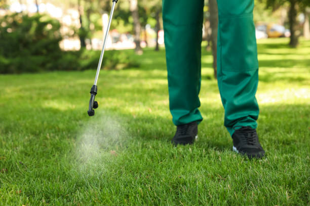 Best Flea Control Services  in Clark, SD