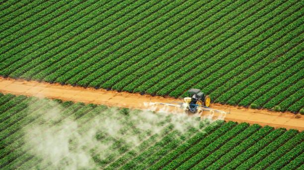Best Local Pest Control Services  in Clark, SD