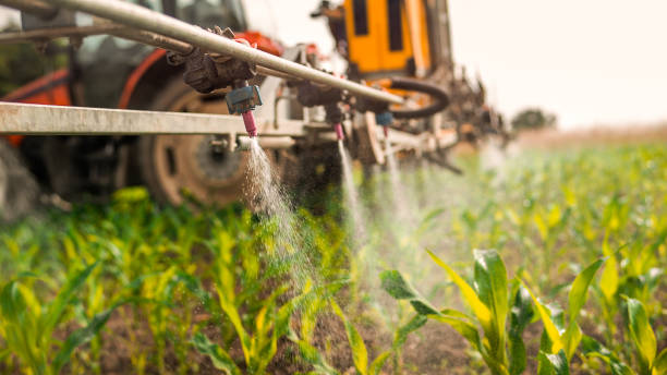 Best Ant Control Services  in Clark, SD